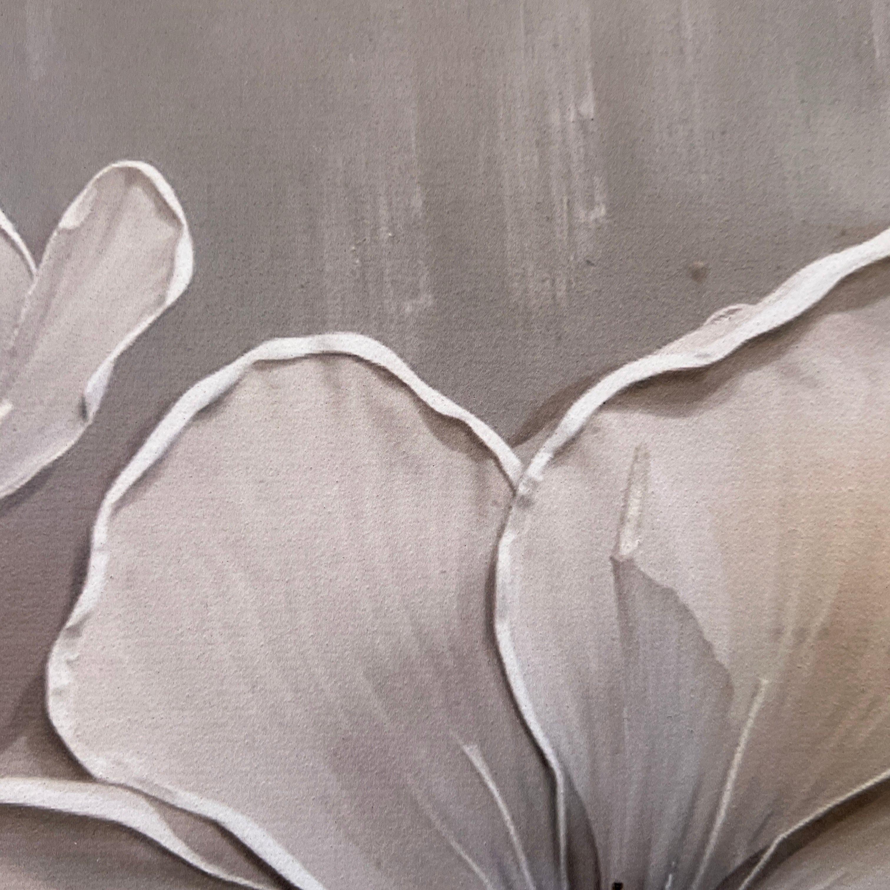 Ivory Harmony on Canvas