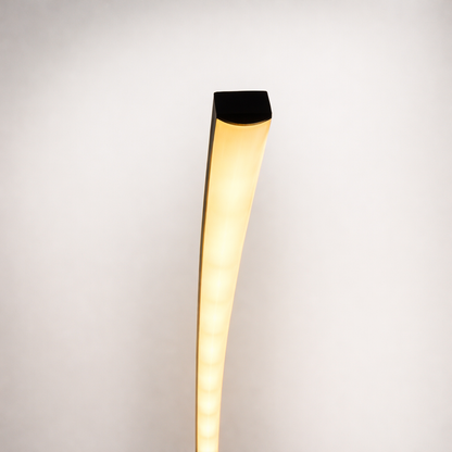 Arcus Metal Floor Lamp