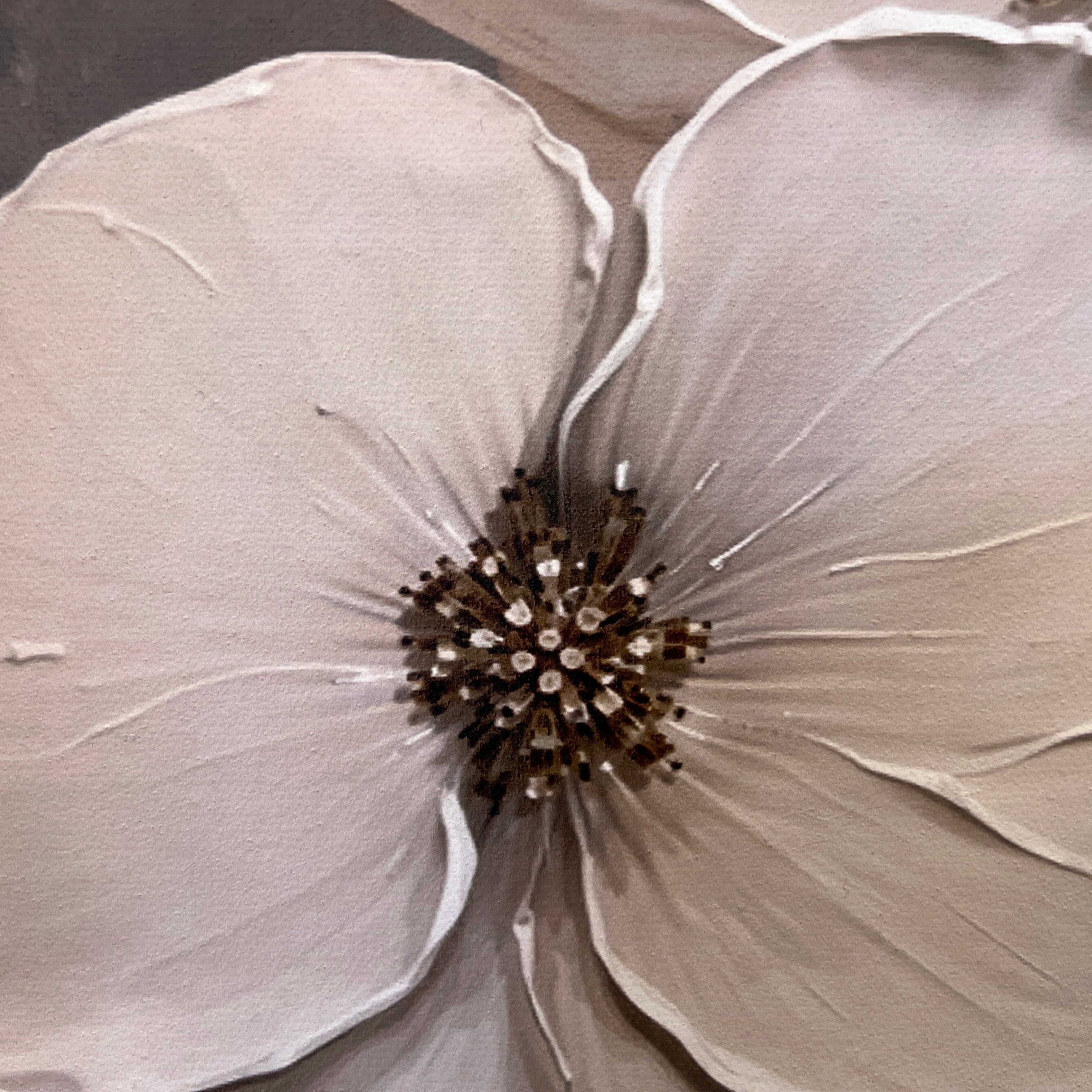 Ivory Harmony on Canvas